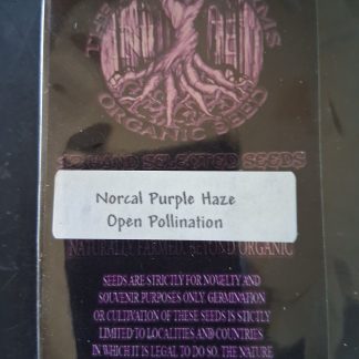 Norcal Purple Haze