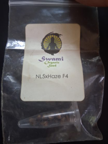 NL5 X Haze F4